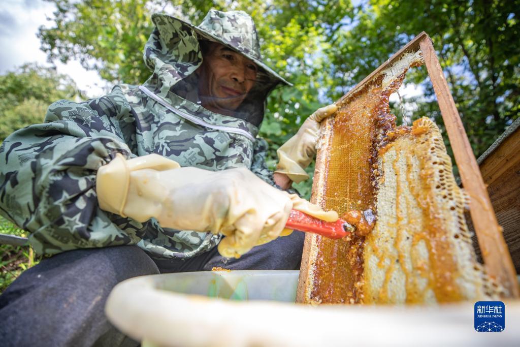 捕鱼游戏定制开发公司